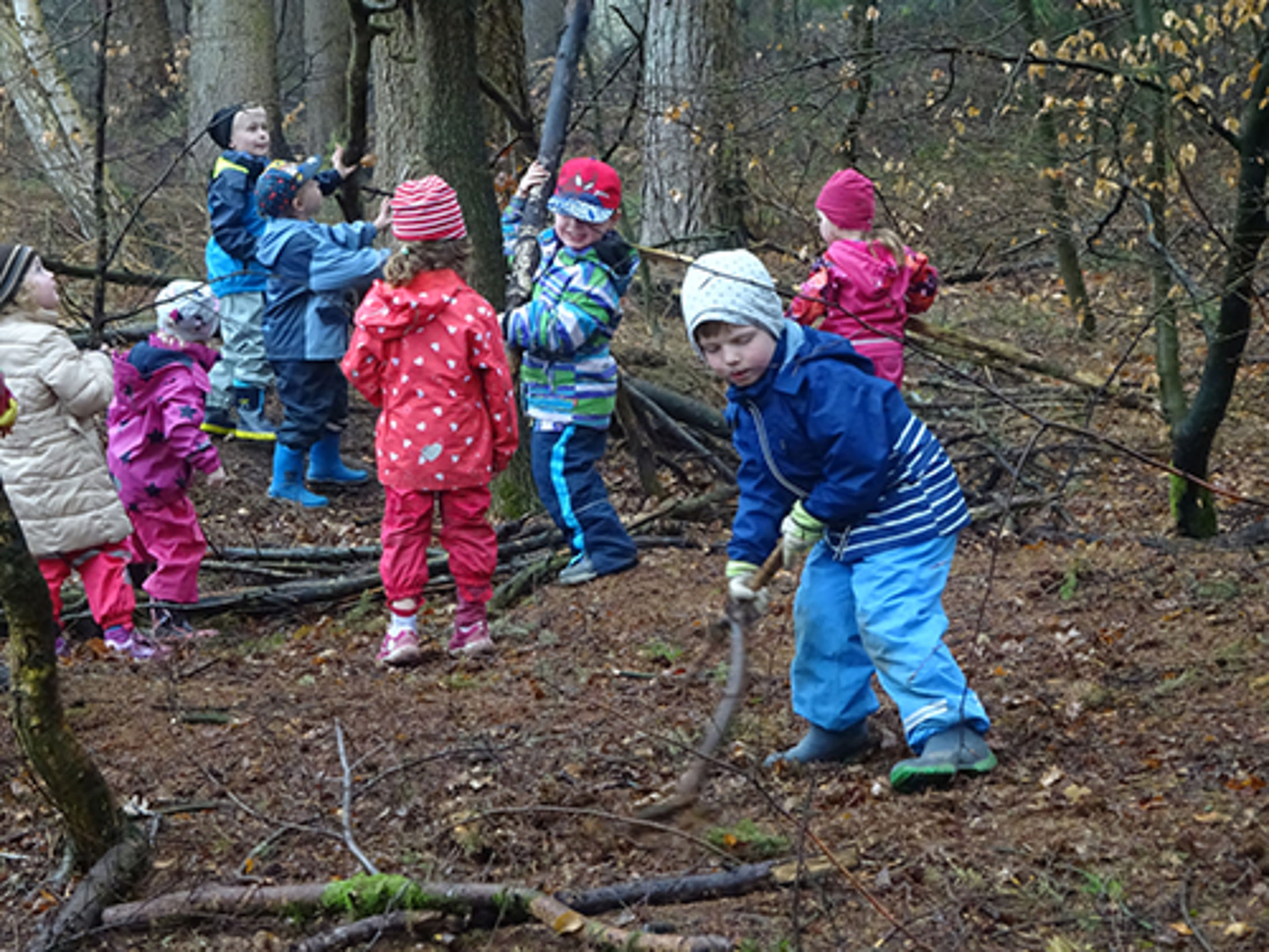 Waldkids 2