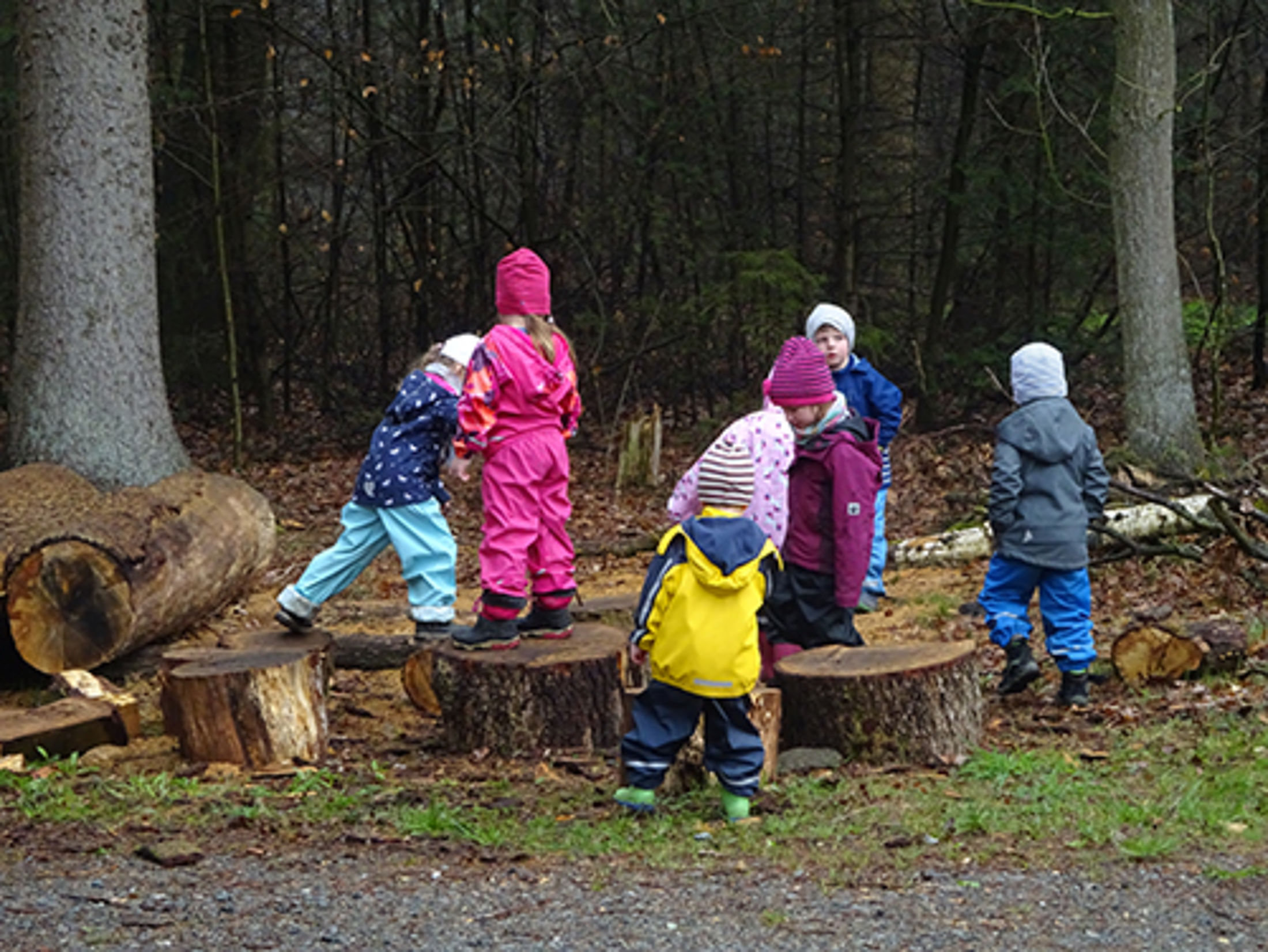 Waldkids 3