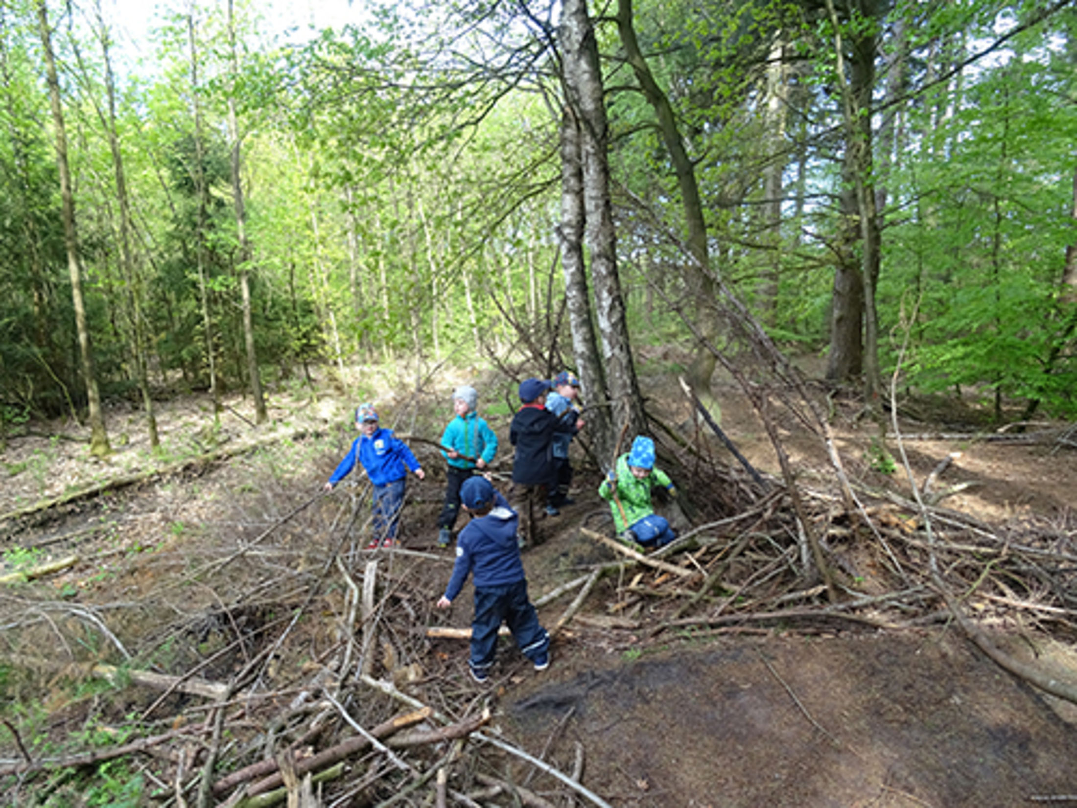 Waldkids 5